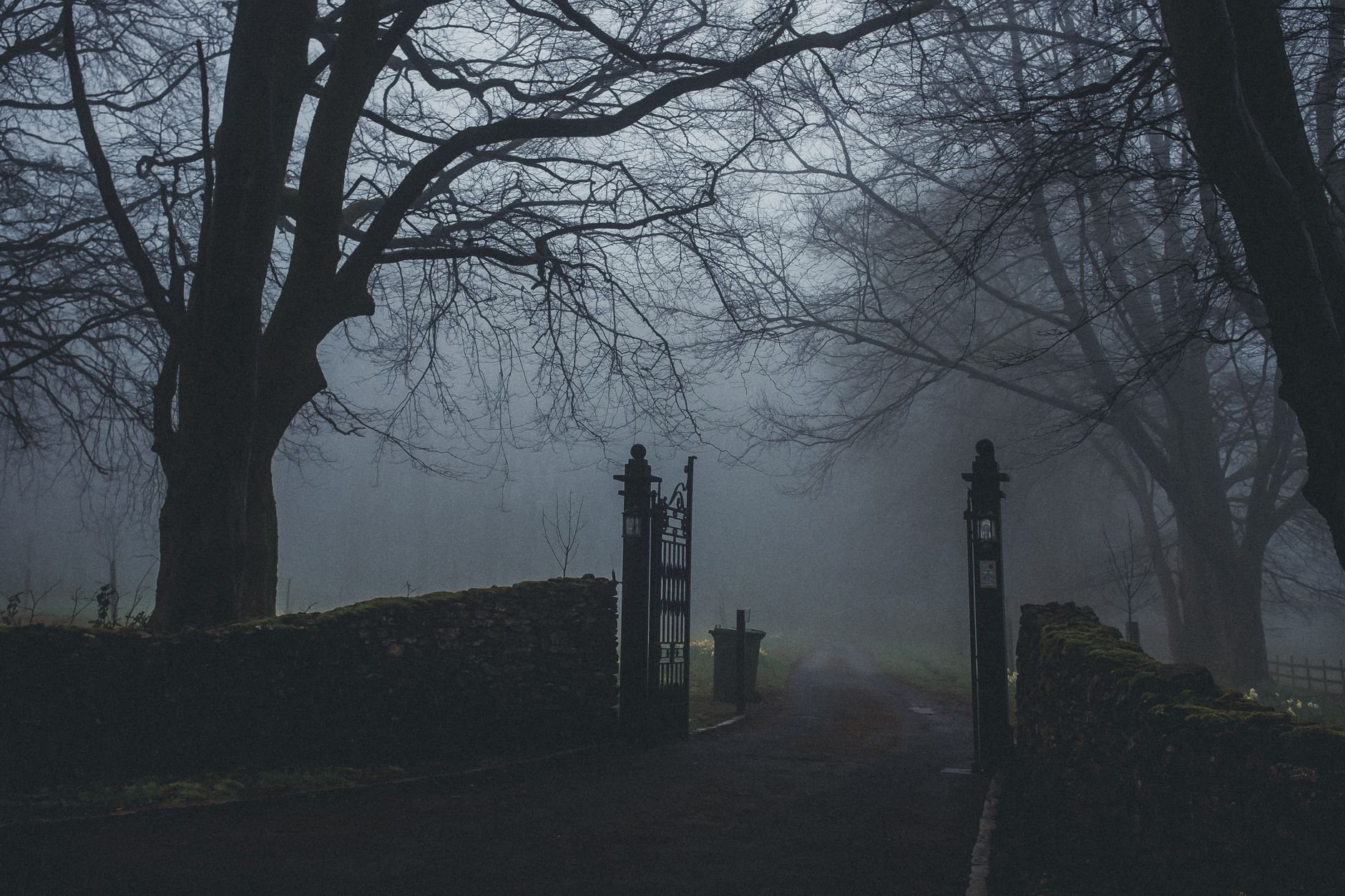A foggy pathway through a gate surrounded by mist and trees